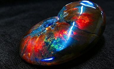 【新品】 天然石（原石） 数万個の中の一個★天然マダガスカル産 ★ 両面オパールアンモナイト 化石標本超巨大93ｇ★78ｍｍ 26100172