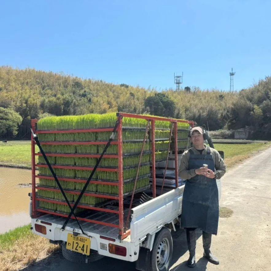 農家直送】令和7年産 徳島県産 にじのきらめき 玄米30kg 1等米 - メルカリ