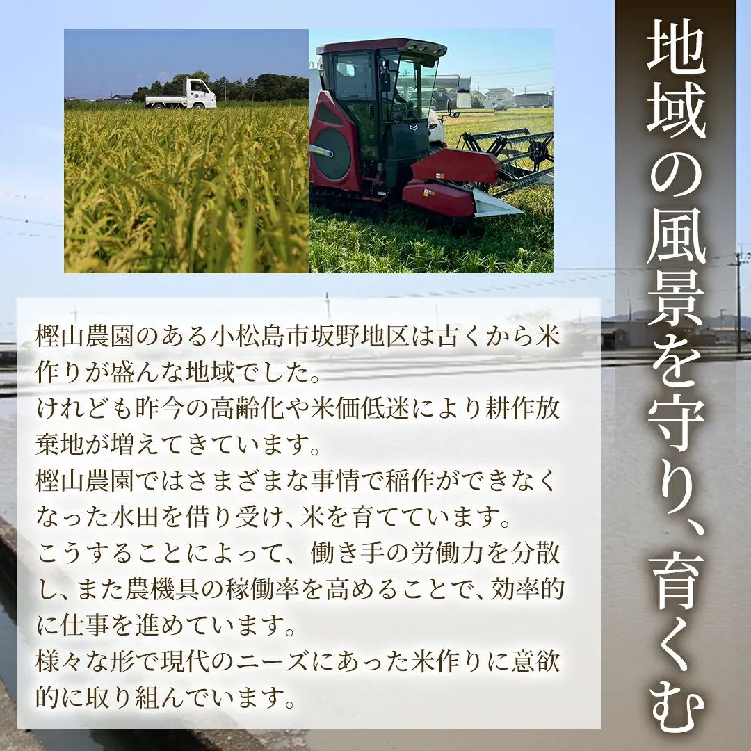 農家直送】令和7年産 徳島県産 にじのきらめき 玄米30kg 1等米 - メルカリ