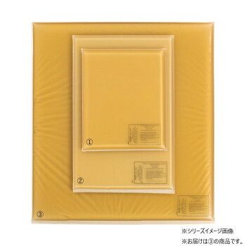 アクション・ジャパン 平状アクションパッド 大 40404