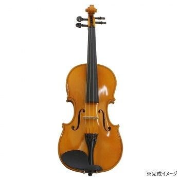 HOSCO(ホスコ) 楽器組立キット バイオリンキット V-KIT-1