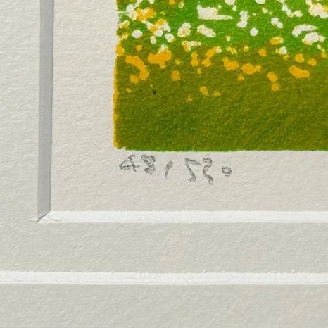 幽玄】真作保証 版画家 府川誠「黄と白の花」リトグラフ 4号 48/530