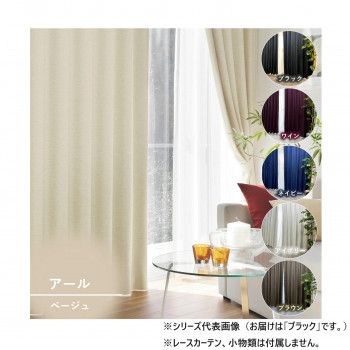 カーテン アール 2P 100X178 BK 725858000178009