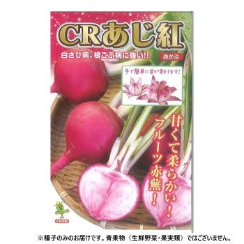 小林種苗 カブ種子 CRあじ紅 11 1dl
