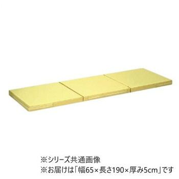 高田ベッド製作所 ポータルマット(三つ折り式ポータブルマット) 幅65×長さ190×厚み5cm アイボリー(バッグ/ブルー) TB-475