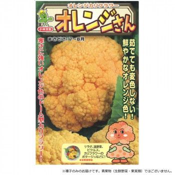 小林種苗 カリフラワー種子 オレンジさん 7245 1000粒 23,769円
