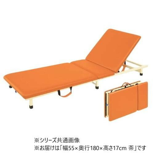 送料無料】高田ベッド製作所 背上式付添ポータブル (折りたたみ式簡易