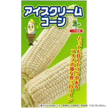 小林種苗 スイートコーン種子 アイスクリームコーン 8145 2000粒