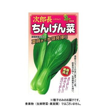 小林種苗 チンゲンサイ種子 次郎長 1 2dl