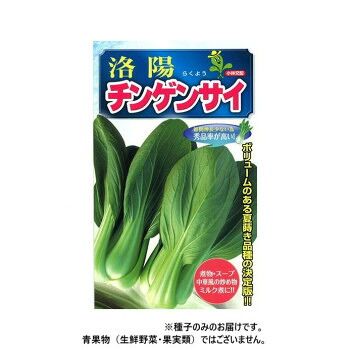 小林種苗 チンゲンサイ種子 洛陽 8 2dl