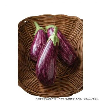 小林種苗 ナス種子 とげなししまじろう 8148 100粒
