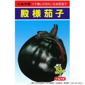 小林種苗 ナス種子 殿様 7211 20ml