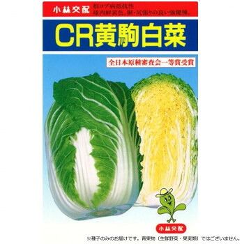 小林種苗 ハクサイ種子 CR黄駒 5 コートL5000粒