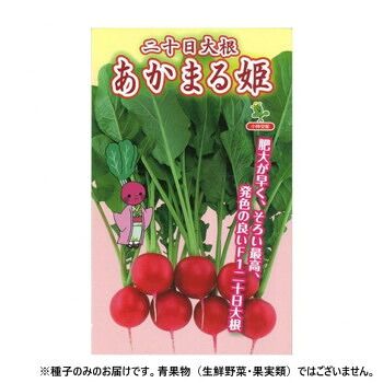 小林種苗 ハツカダイコン種子 あかまる姫 7240 1dl