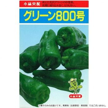 小林種苗 ピーマン種子 グリーン800号 7217 20ml