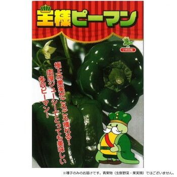 小林種苗 ピーマン種子 王様ピーマン(グリーン500号) 7218 20ml