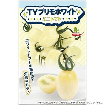 小林種苗 ミニトマト種子 TYプリモホワイト 6832 100粒