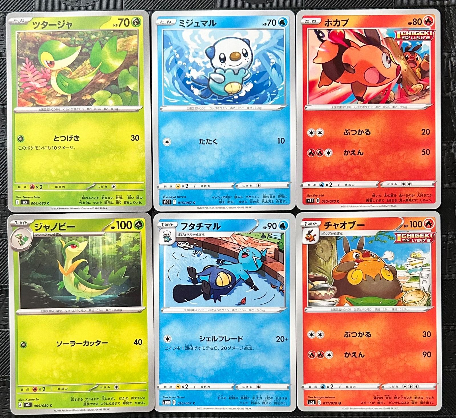 第五世代御三家ポケモンカードツタージャ ミジュマル ポカブ進化ライン