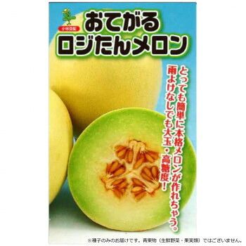 小林種苗 メロン種子 おてがるロジたん 8136 100粒