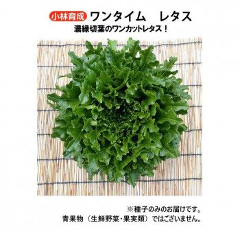 小林種苗 レタス種子 ワンタイム 7228 1dl 14,129円