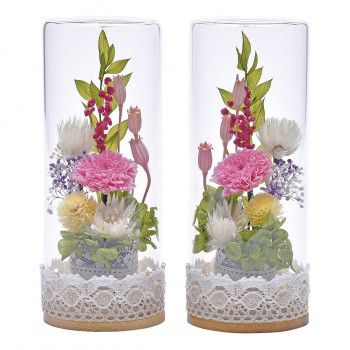 蒼天ボトルフラワー(対入) 小菊 ももいろ KS-240351 57n6004l00002