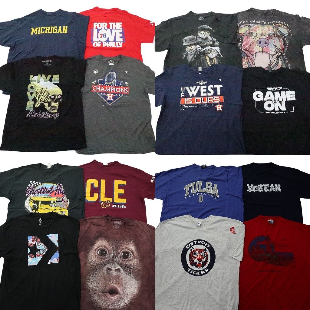 古着卸 まとめ売り プリント Tシャツ 16枚セット ( メンズ XL ) アニマル動物 スカル柄 英文字プリント アーチロゴ 古着 NF6229