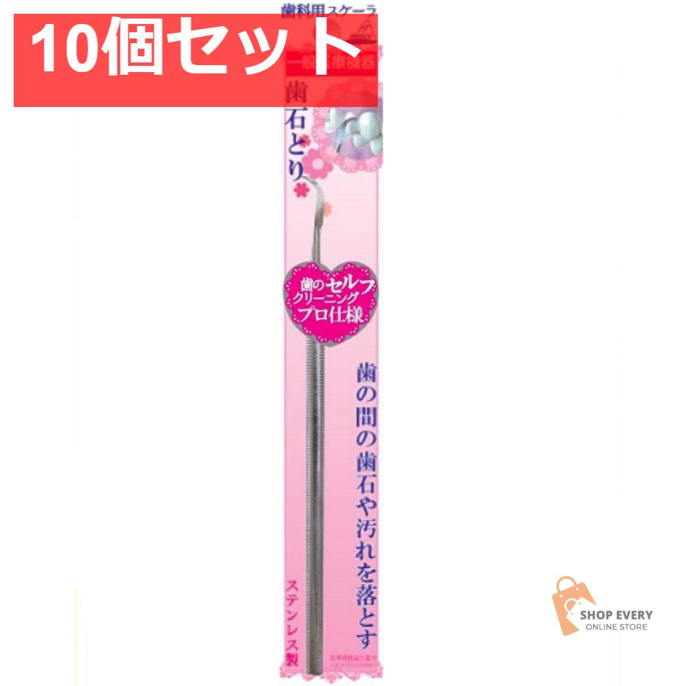 アヌシ 歯石とり OL-009 1本入 10個セット まとめ売り 6,353円