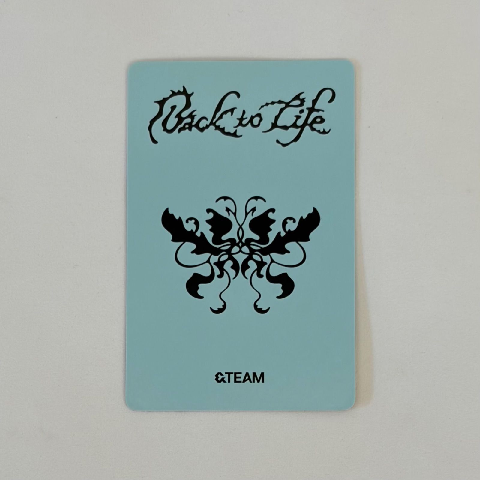 &TEAM エンティーム backtolife 中華 一直娯 yzy ヨントン トレカ YUMA
