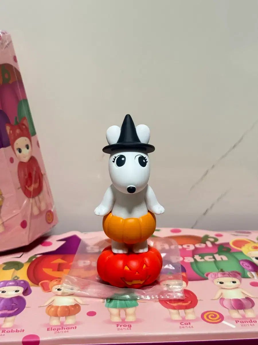 Angel Sonny Pumpkin Patch Series パンプキンパッチ カラフルポップな 