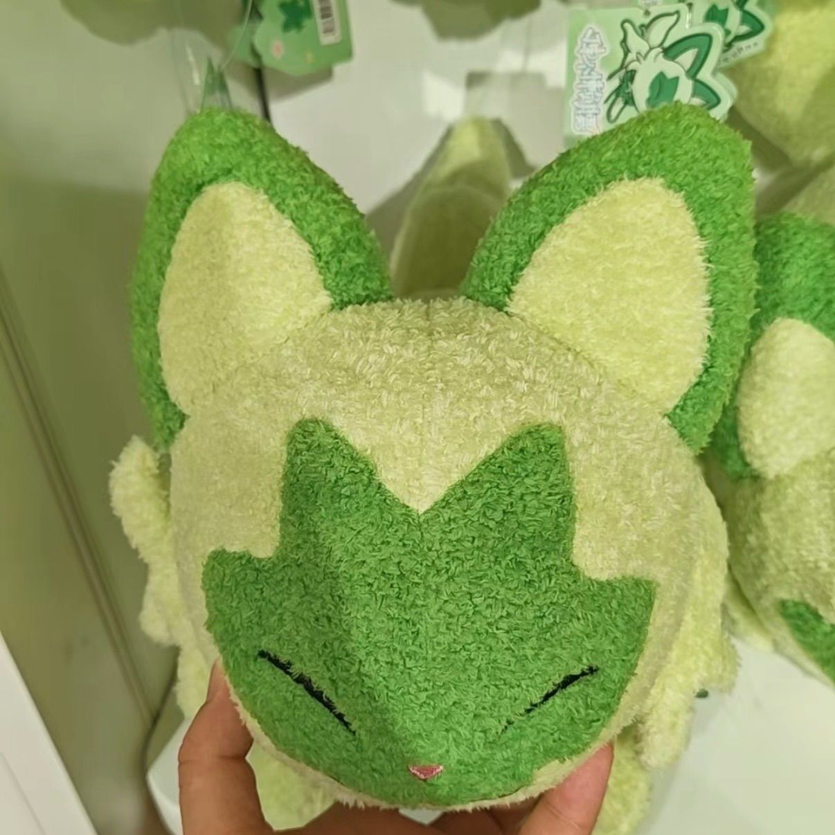 新品タグ付き 中国ポケモンセンター公式 お昼寝ぬいぐるみ 全4種類