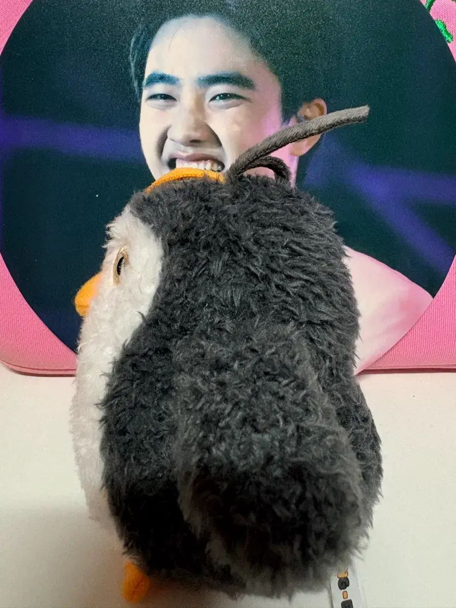 10cm EXO ディオ D.O. ぬいぐるみ本体 10日間のみ出品 EXO ディオ(D.O.・ドギョンス・ギョンス) ぬいぐるみ