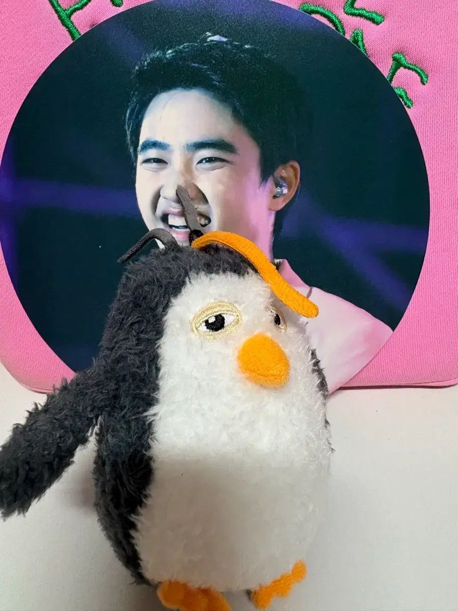 10日間のみ出品 EXO ディオ(D.O.・ドギョンス・ギョンス) ぬいぐるみ