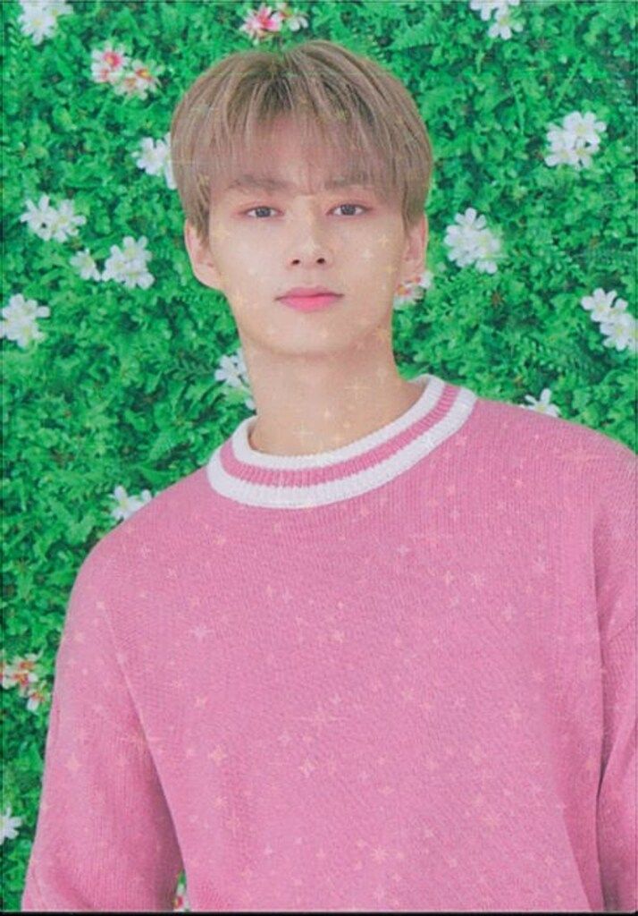 SEVENTEEN 19年 HARU JAPAN TOUR JUN キラキラ萌えカード