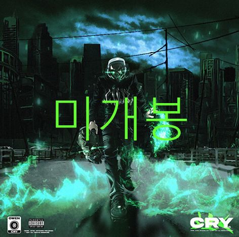 楽器・機材 未開封 右と左 （ Owen ） ー CRY CD