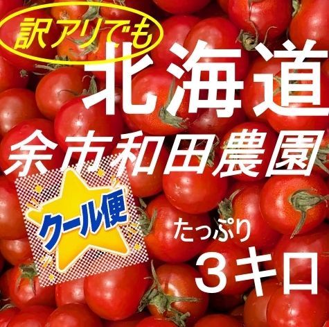 北海道産ミニトマト 3キロ - メルカリ