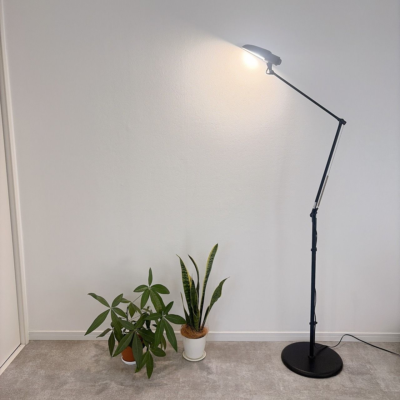 SWAN EXARM スワン電器 エグザーム読書灯 フロアランプ LEDフロア