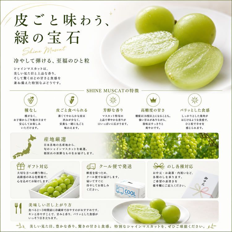 お中元 夏ギフト フルーツギフト 敬老の日ギフト 完熟マンゴー 北海道のマンゴー 産地厳選シャインマスカット [摩周湖の夕日とシャイン]｜詳細画像