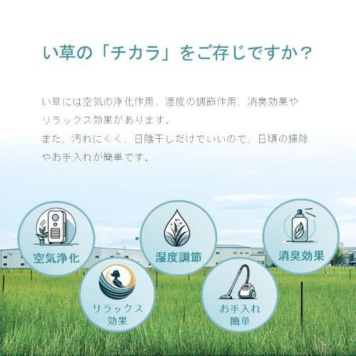 い草 上敷き カーペット 江戸間8畳 城山 1400261012802 い草 上敷き カーペット 江戸間8畳 城山 1400261012802