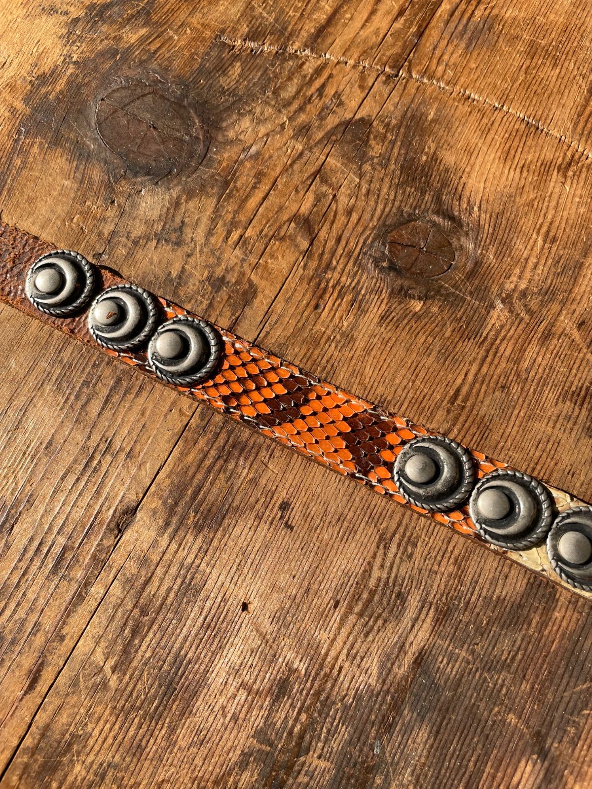 nbel python leather concho belt (brown × multicolour, approx. 2 cm wide, made in Italy) 6