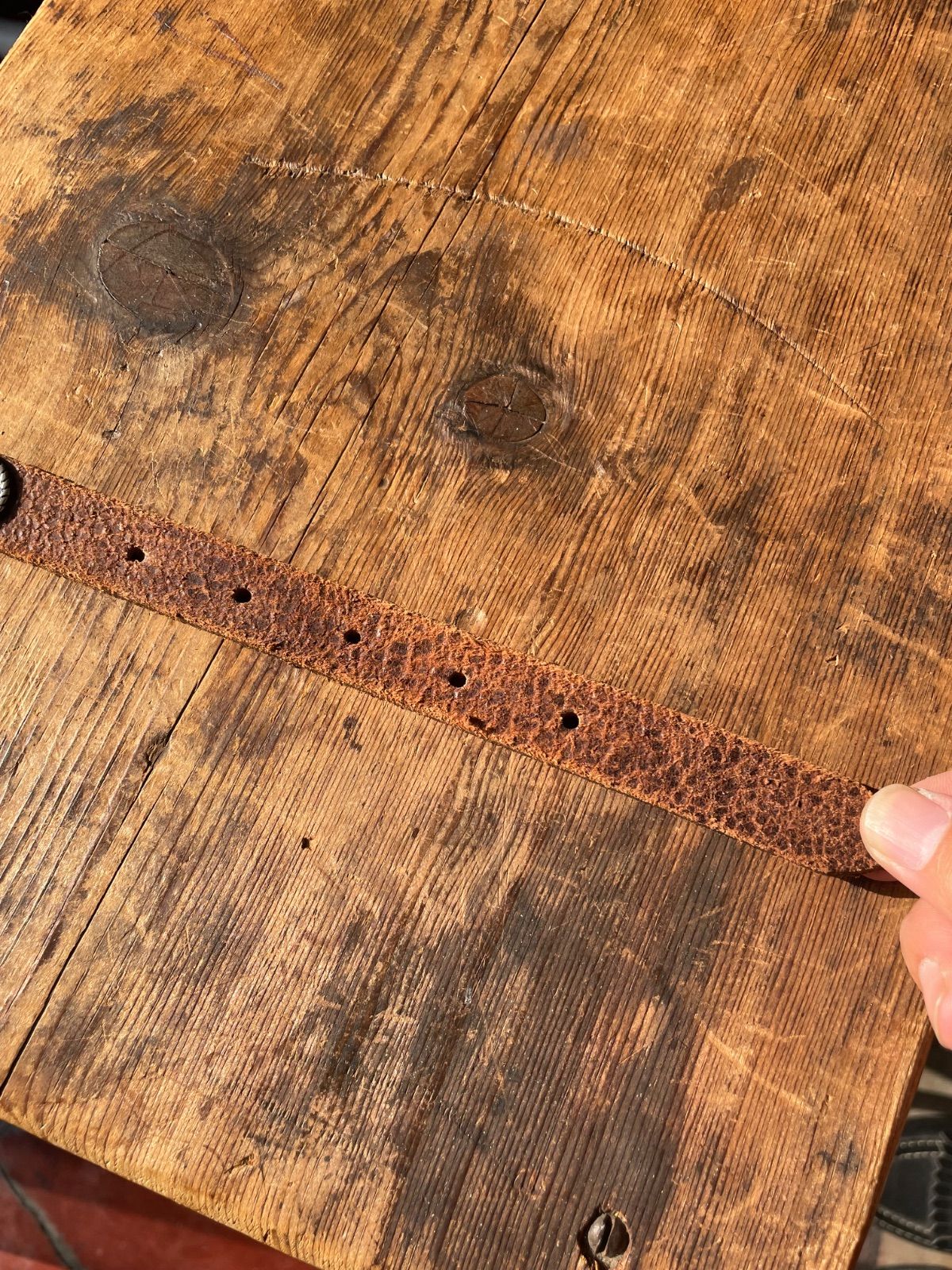 nbel python leather concho belt (brown × multicolour, approx. 2 cm wide, made in Italy) 13