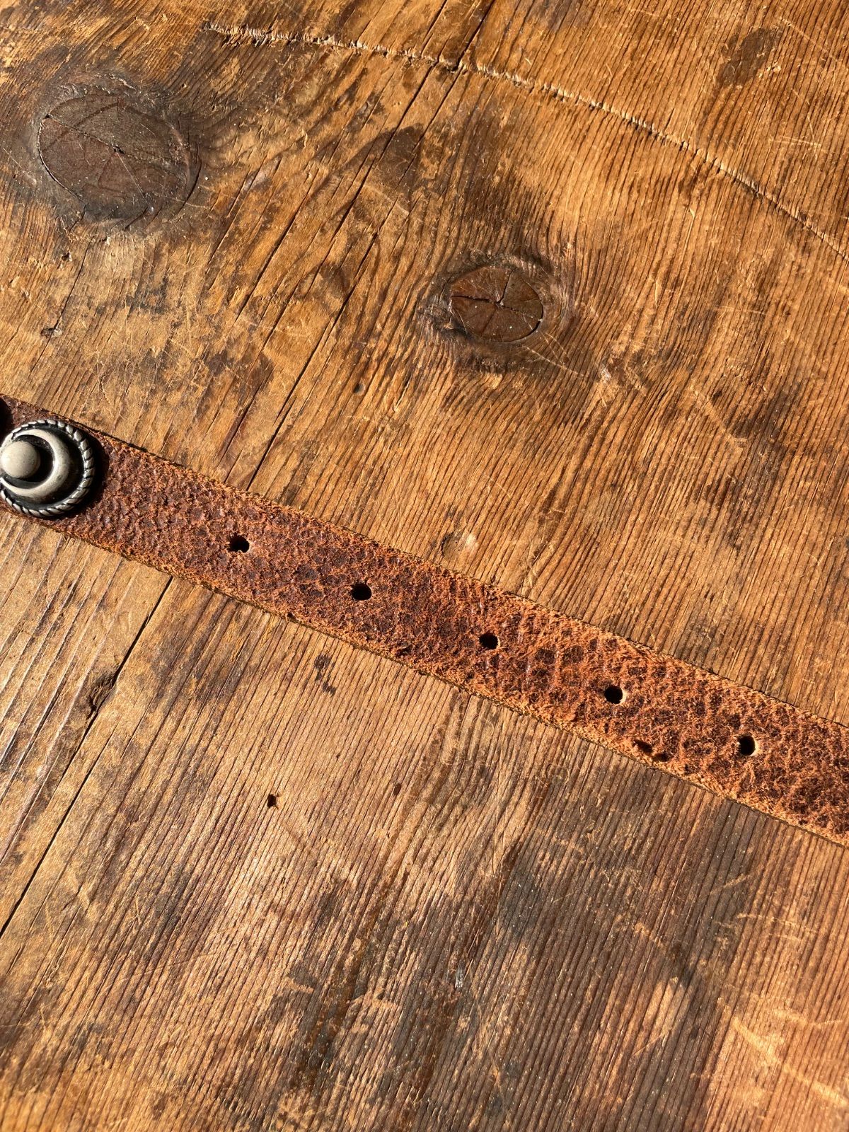 nbel python leather concho belt (brown × multicolour, approx. 2 cm wide, made in Italy) 12