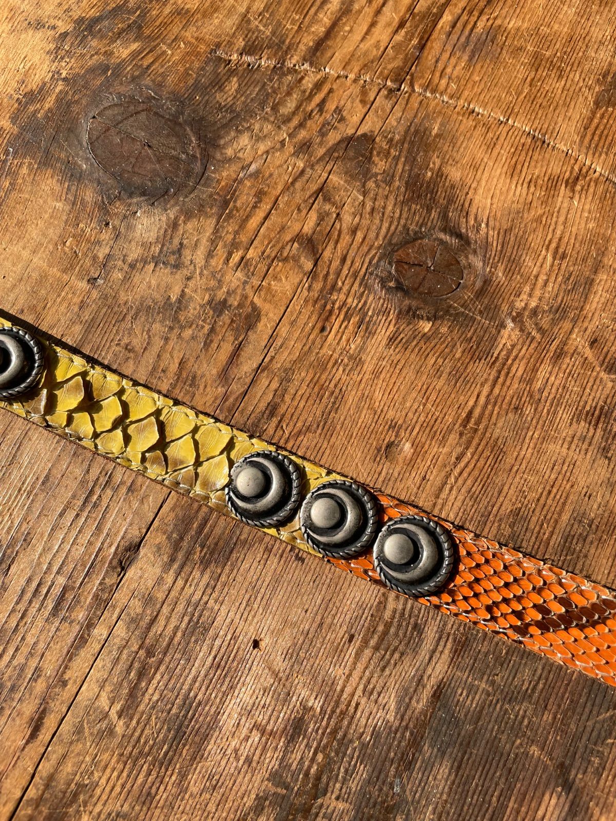 nbel python leather concho belt (brown × multicolour, approx. 2 cm wide, made in Italy) 8
