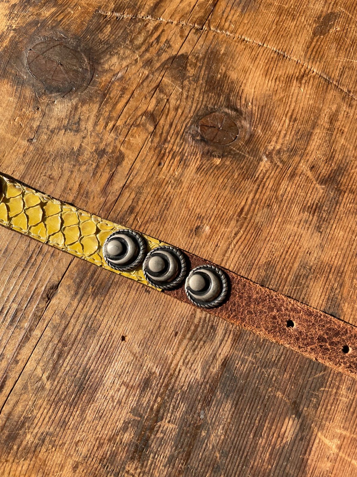 nbel python leather concho belt (brown × multicolour, approx. 2 cm wide, made in Italy) 11