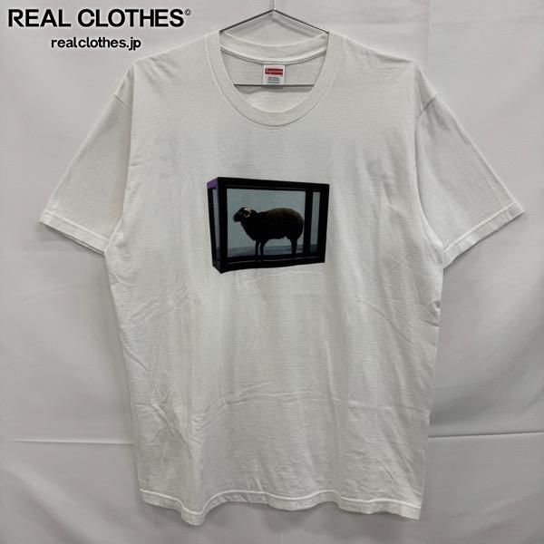 Supreme/シュプリーム【25SS】Damien Hirst Tee/ダミアン ハースト