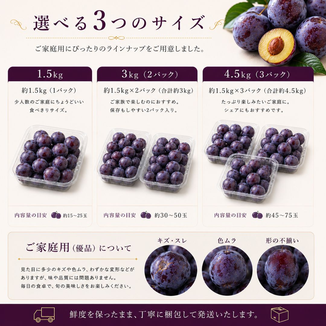 予約7月中旬】長野県産プルーン 約1.5kg クール便 - メルカリ