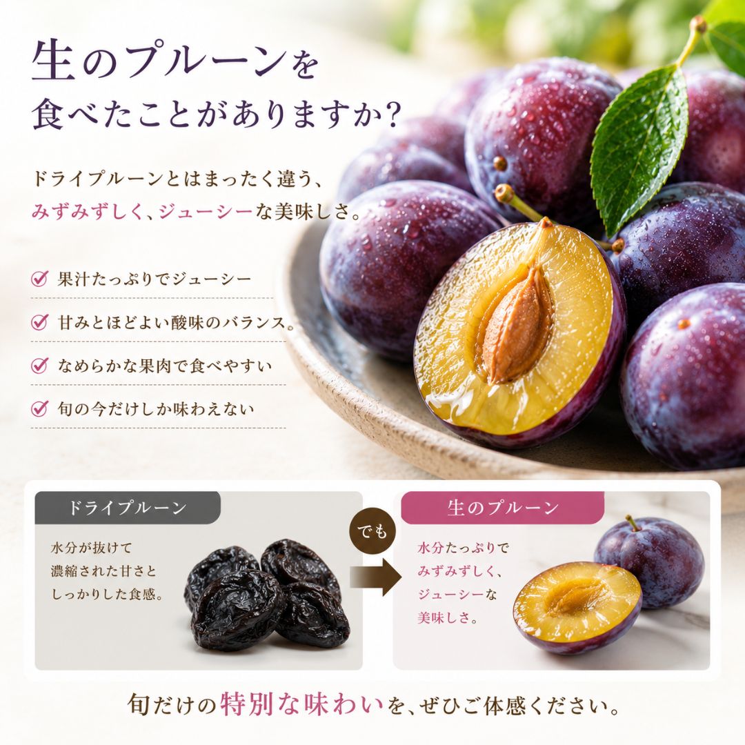 予約7月中旬】長野県産プルーン 約1.5kg クール便 - メルカリ