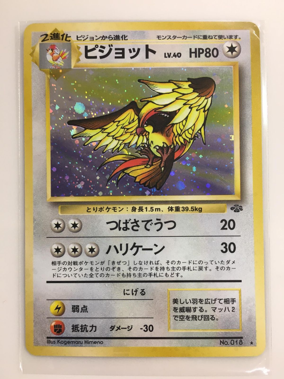 ※ケース傷あり PSA10 ピジョット 旧裏 ジャングル #18 ポケモンカード ピジョット LV.40 ☆ [旧裏面] No.018 ポケモンジャングル 傷有り