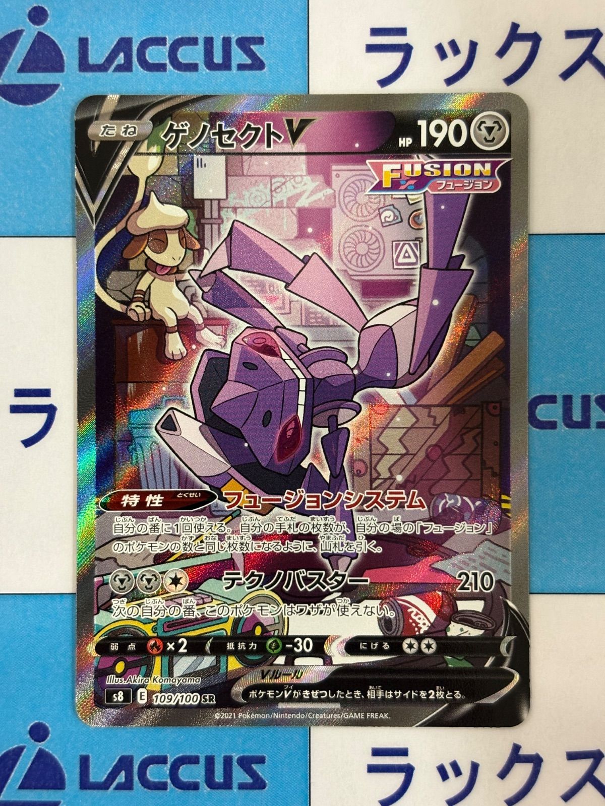 pokemon card genesect Red Collection Box  dondiegotrading If it loses this Ability Pokemon Card Genesect ex sv11B