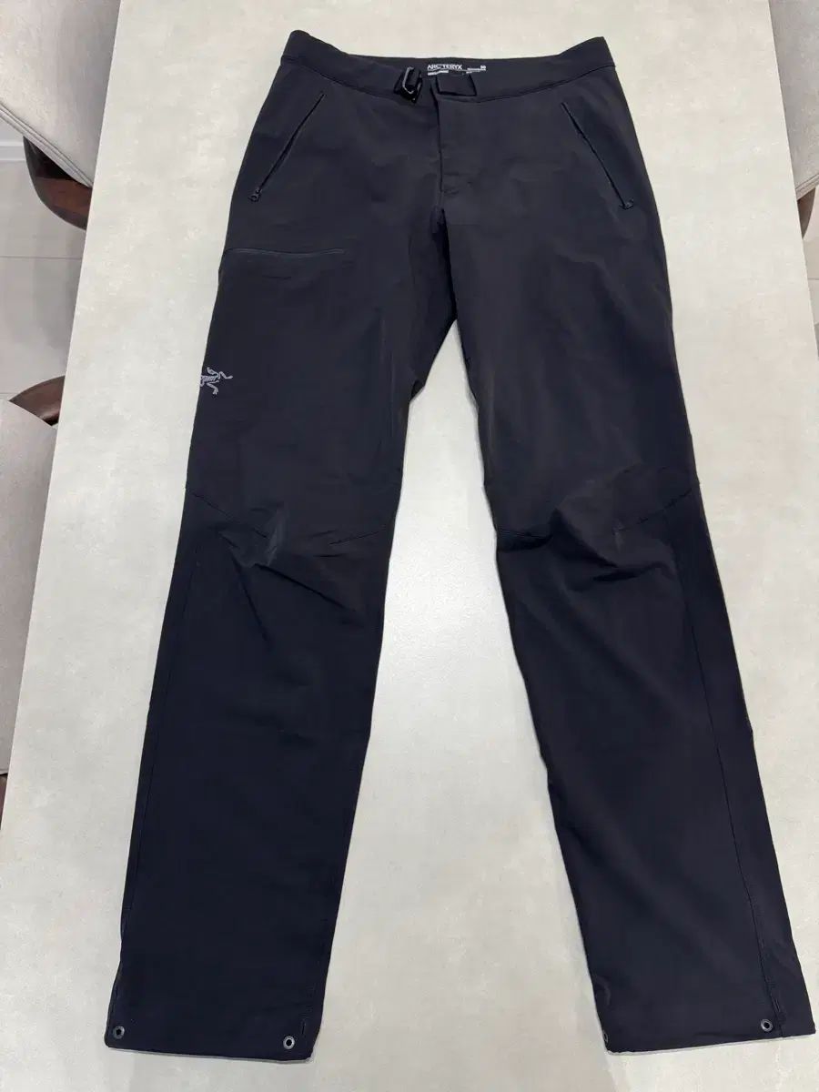 ARC'TERYX GAMMA(ガンマ) パンツ ズボン Mサイズ 30-32サイズ