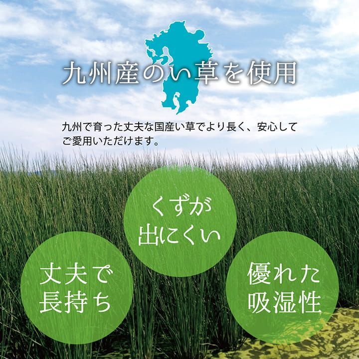 花ござ カーペット 西条 261×261cm 江戸間4.5畳